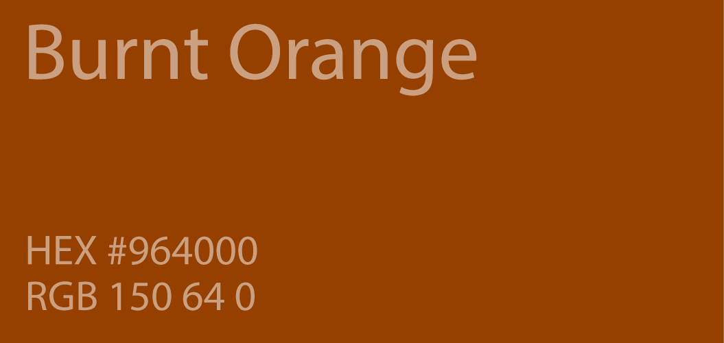 Burnt Orange Color Swatch