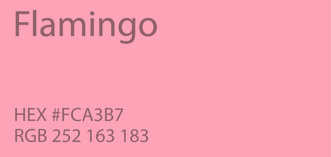 flamingo color